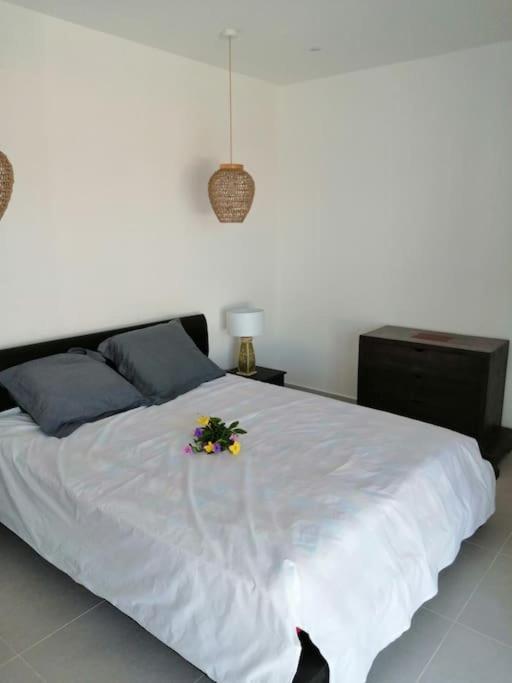 Residence Canne Mapou 2 1 Chambre Saint Pierre Exterior foto